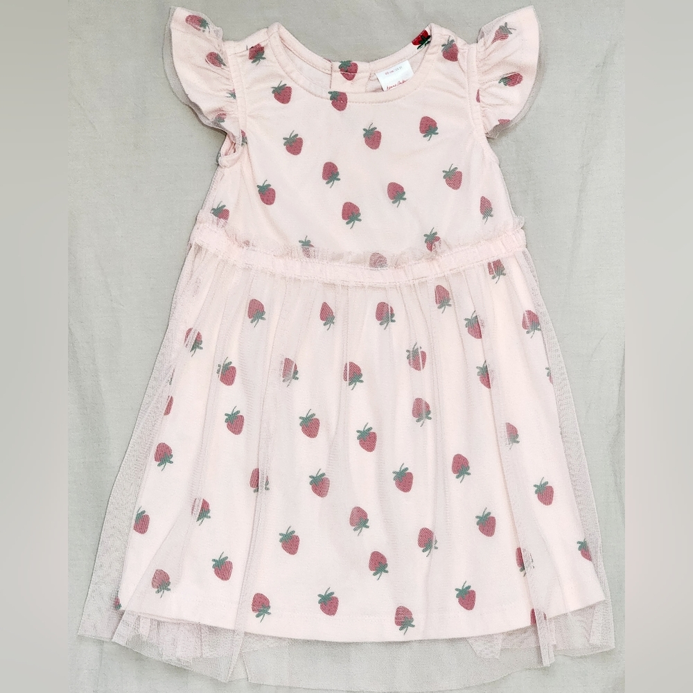 VGUC Hanna Andersson Pink Strawberry Tulle Overlay Toddler Girl Dress Size 3T
